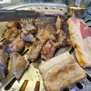 강남갈매기 사진