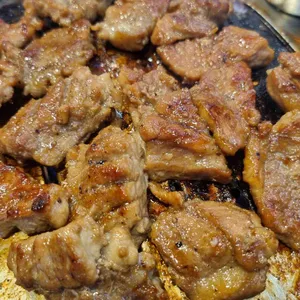 강남갈매기 사진