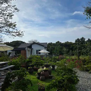 사려니숲길 화덕피자 리뷰 사진