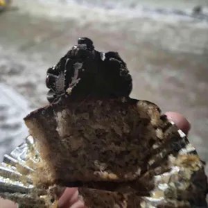 오리케이커리 대표 사진