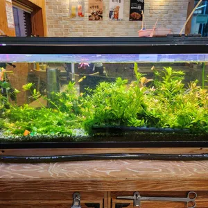 돈코모 리뷰 사진