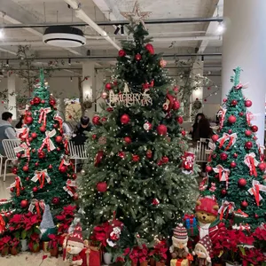 마고플레인 리뷰 사진