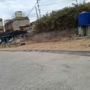 일미아구찜 리뷰 사진