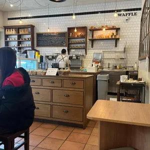 미스틱래빗 리뷰 사진