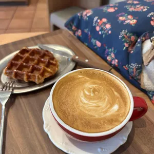 미스틱래빗 사진