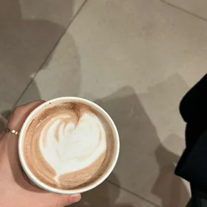 커피 라이커스 사진