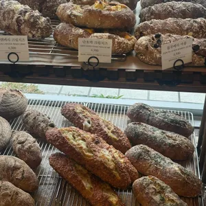 쿠아레비 리뷰 사진