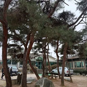 솔밭농원 리뷰 사진