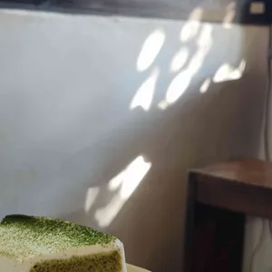 오가닉 모가 리뷰 사진