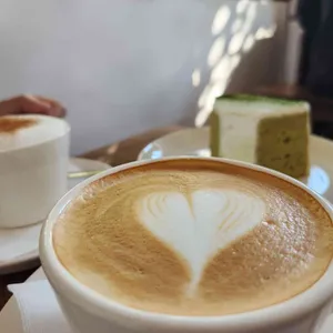 오가닉 모가 리뷰 사진