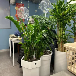 자유광장 대표 사진