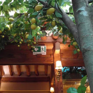 오스테리아 소띠 리뷰 사진