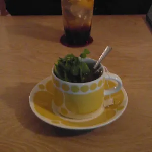 IWLT SEOUL 리뷰 사진