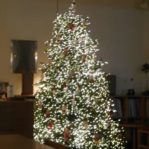 IWLT SEOUL 리뷰 사진