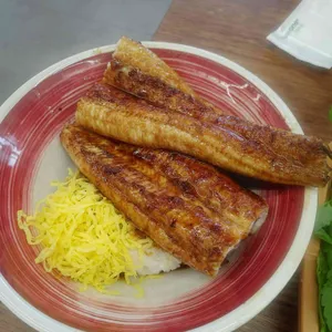 금남리 민물장어 사진