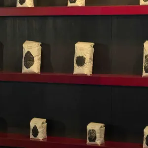 앤트러사이트 리뷰 사진