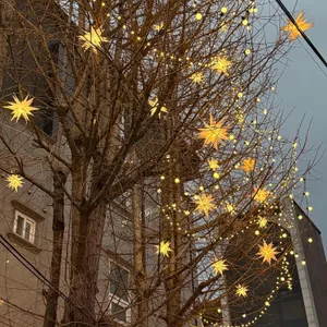 앤트러사이트 리뷰 사진