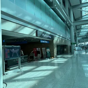 마티나 골드 리뷰 사진