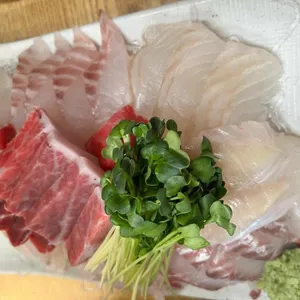 대박  참치 초밥 모둠회 리뷰 사진