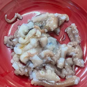 대박  참치 초밥 모둠회 사진