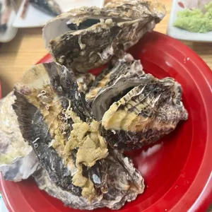 대박  참치 초밥 모둠회 리뷰 사진