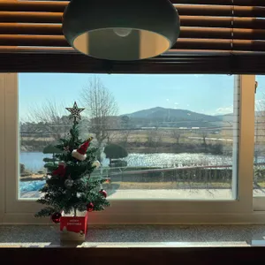 보나테라 리뷰 사진