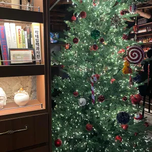 라비다로카 대표 사진