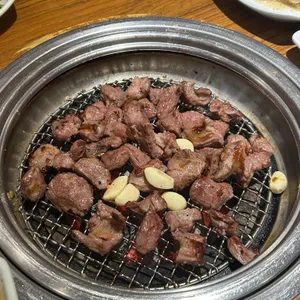 송도갈매기 사진 1