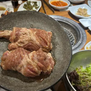 송도갈매기 사진