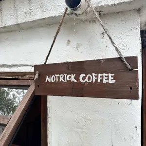 노트릭 리뷰 사진