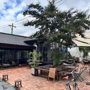 노트릭 리뷰 사진