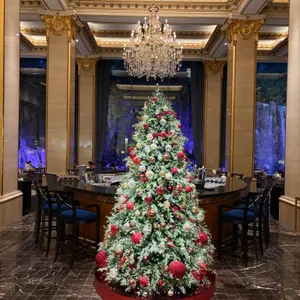 페닌슐라 리뷰 사진