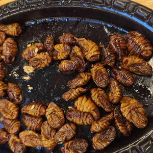 속초오징어시장 리뷰 사진