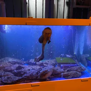 생생아구 리뷰 사진