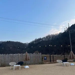 아기사자 대표 사진