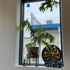 오키나와파라솔 리뷰 사진