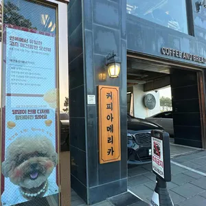 아메리카 리뷰 사진