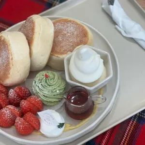 어나더미네스 사진 1