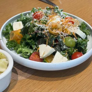 심퍼티쿠시 사진