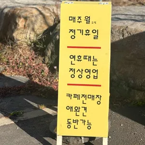 드로핀 리뷰 사진