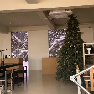 텀어스 리뷰 사진