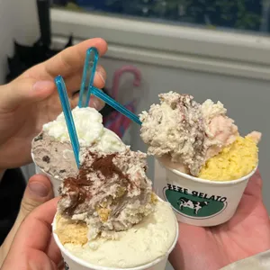 제제젤라또 사진