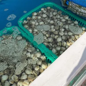 우리밀손칼국수 리뷰 사진