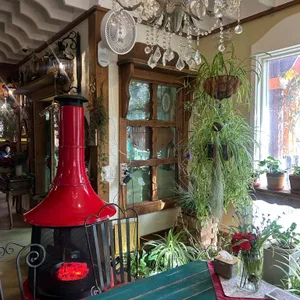 로즈 리뷰 사진