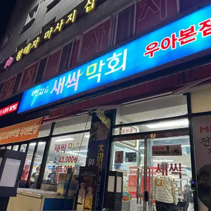 백김치새싹막회 리뷰 사진