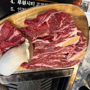 금도야지 사진 1