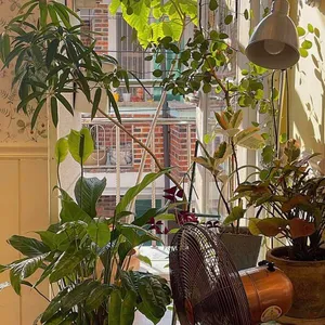 포푸리리프 리뷰 사진