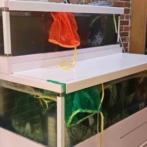 낙지대가 리뷰 사진