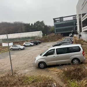 좋은아침페스츄리 리뷰 사진