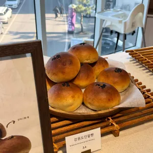 트리고 리뷰 사진